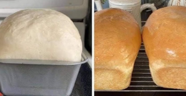 Bread recipes